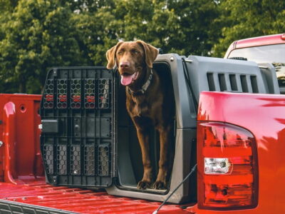 Dog Crates